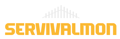 Servivalmon, empresa de estructuras metálicas en Huesca